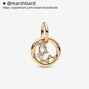 Pandora Aquarius Zodiac Dangle Charm